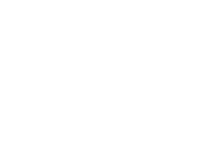 Birmingham Pedal Tours